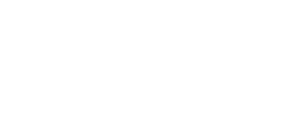 logo elationprofessional